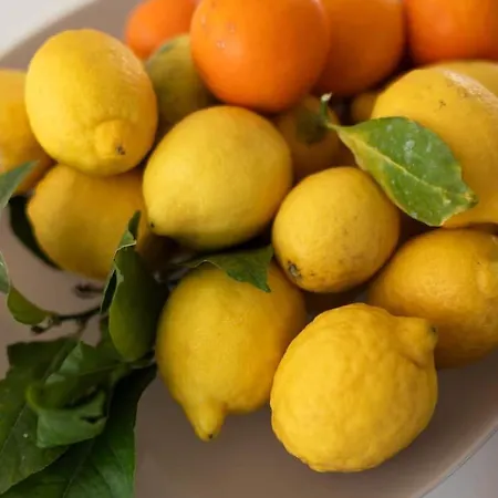 La Casa Di Daniel Il Posto Ideale Apartman